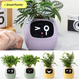 Smart Planter Endless Fun Over 49 Rich Expressions 7 Smart Sensors And AI Chips Make Raising Plants Easy And Fun